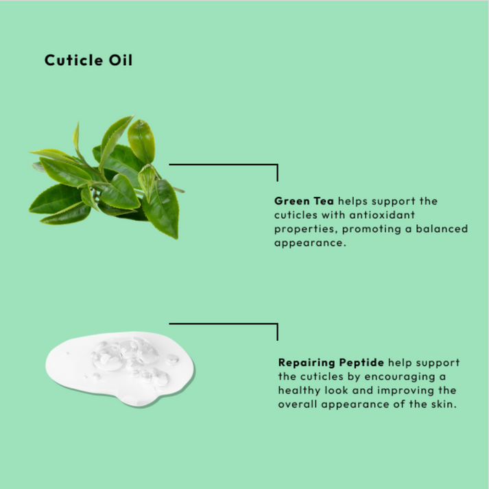BCL Spa - Nail & Cuticle Oil - Green Tea + Repairing Peptide, 1 oz