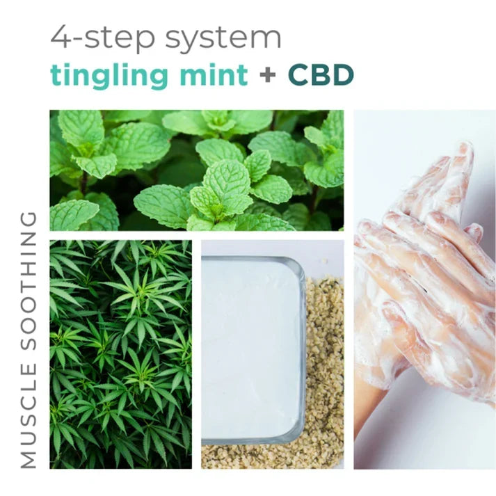 BCL Spa - Tingling Mint - Moisture Mask