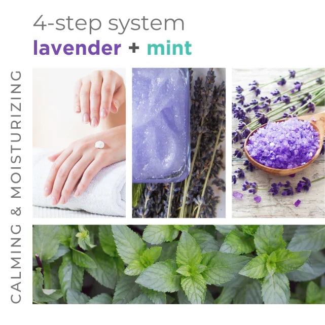 BCL Spa - Lavender + Mint - Moisture Mask