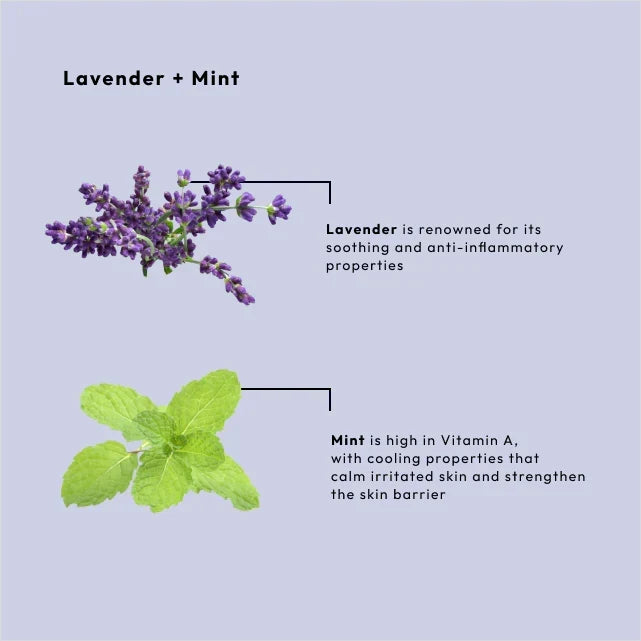 BCL Spa - Lavender + Mint - Moisture Mask
