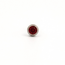 Studex Earrings - R201W : January